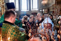 Неделя 6-я Великого поста: праздник Входа Господня в Иерусалим (Вербное воскресенье) - Храм Рождества Христова в Черневе. Южное Бутово, г. Москва